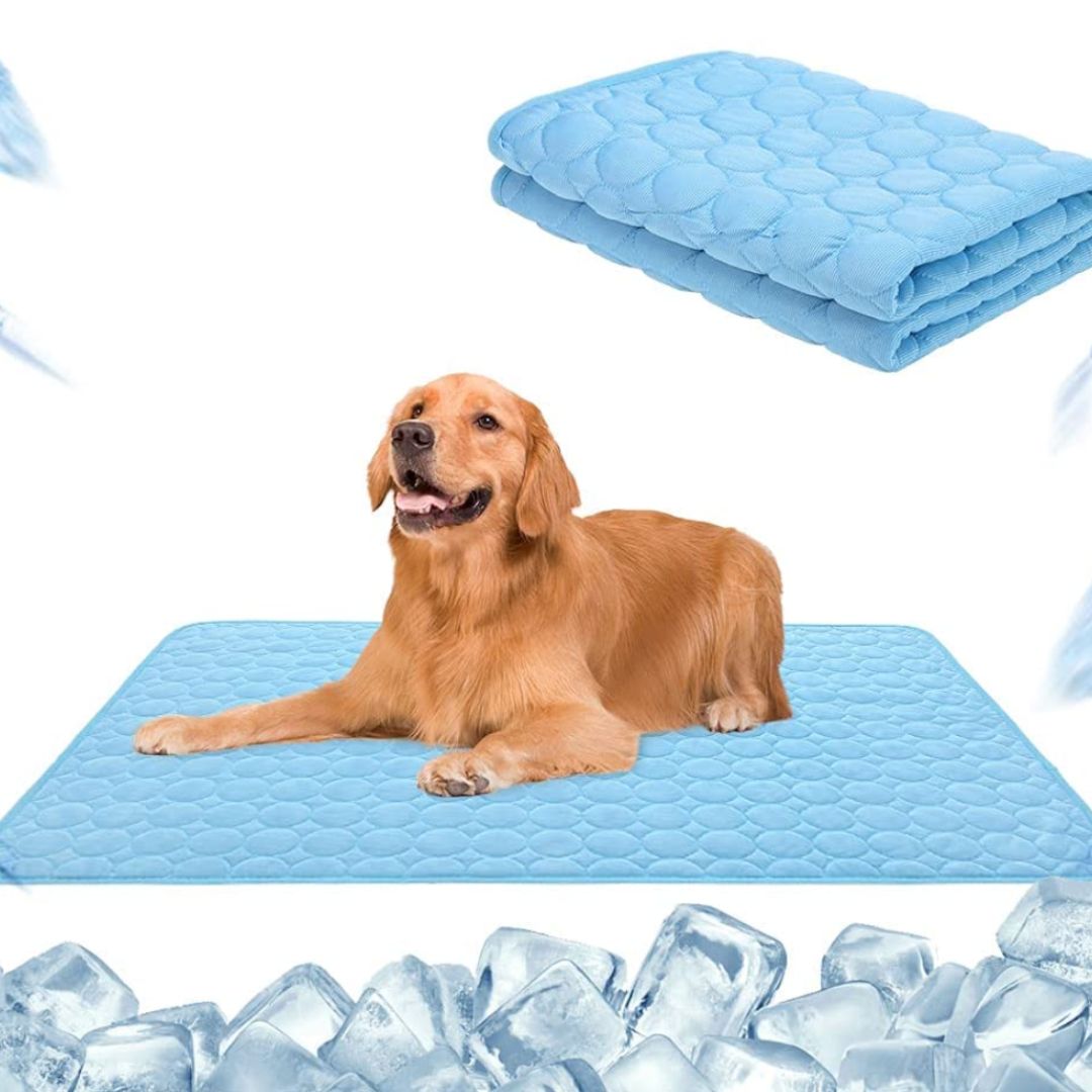 Alfombra refrescante premium para mascotas 🐶🐱