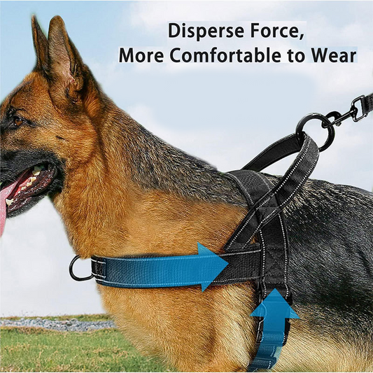 Arnés táctico resistente para perros – Sin tirones, sin ahogo. 🛡️✨