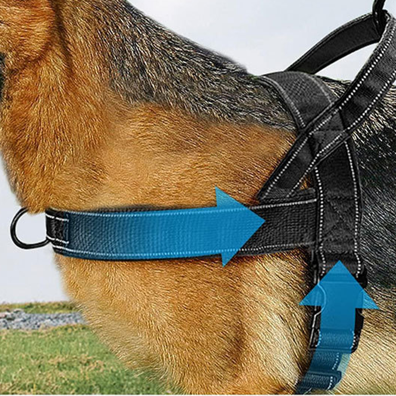 🥳¡OFERTA CALIENTE 2026!🥳🐕💪 ¡50% DE DESCUENTO! Arnés táctico resistente para perros – Sin tirones, sin ahogo. 🛡️✨