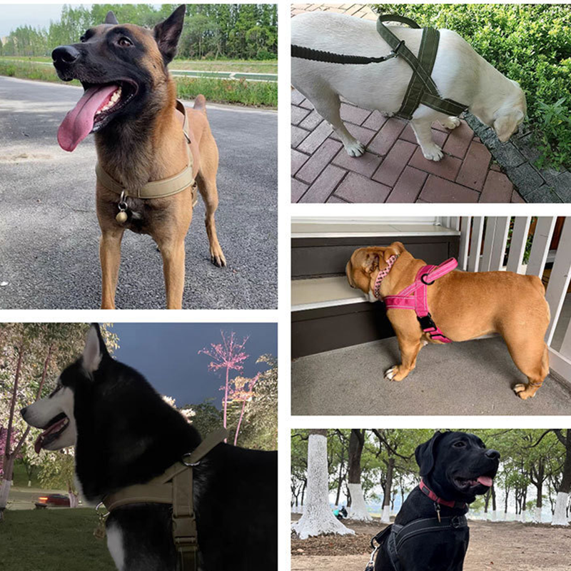 🥳¡OFERTA CALIENTE 2026!🥳🐕💪 ¡50% DE DESCUENTO! Arnés táctico resistente para perros – Sin tirones, sin ahogo. 🛡️✨