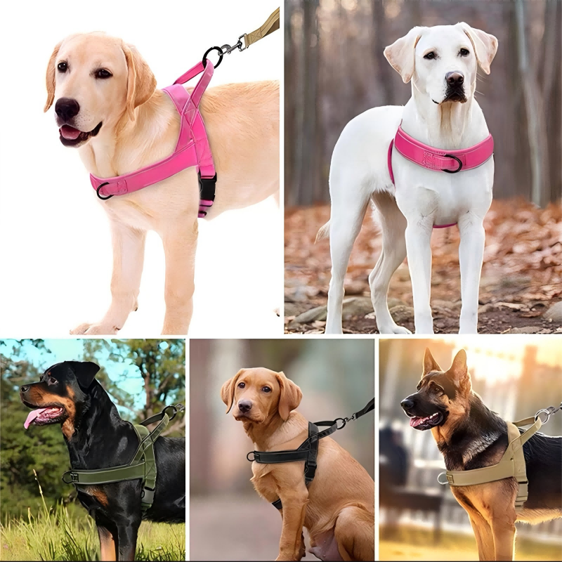 🥳¡OFERTA CALIENTE 2026!🥳🐕💪 ¡50% DE DESCUENTO! Arnés táctico resistente para perros – Sin tirones, sin ahogo. 🛡️✨