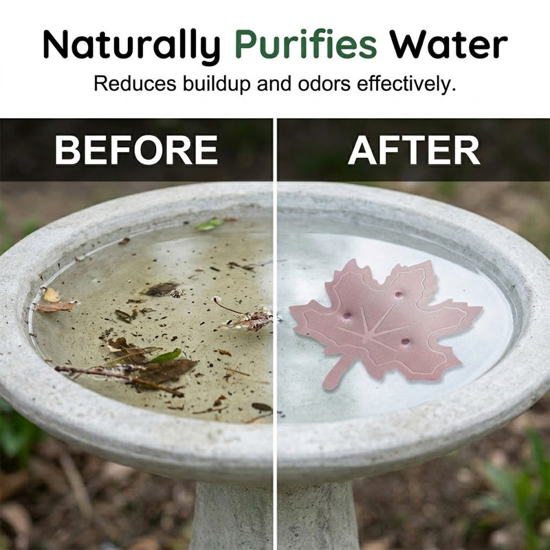 Purificador de bebederos para pájaros de ajuste universal