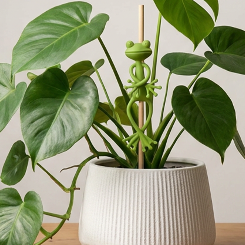 Soporte para Plantas de Rana Lindo y Estable