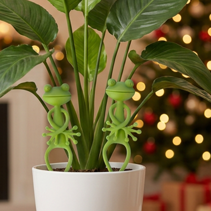 Soporte para Plantas de Rana Lindo y Estable