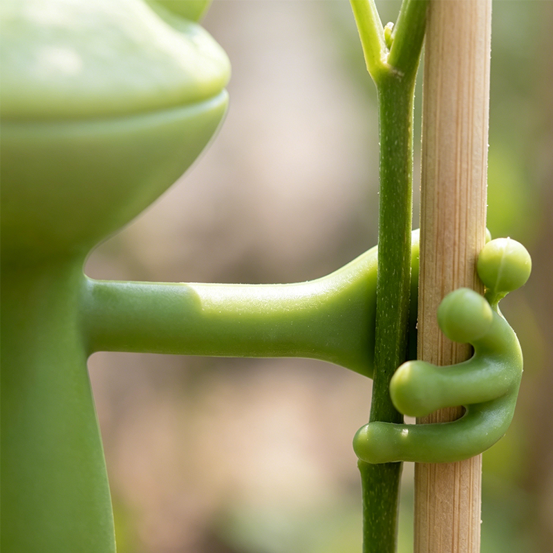 Soporte para Plantas de Rana Lindo y Estable